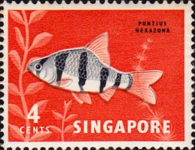 Singapore 1962 SG 65 Tiger Fish Fine Mint