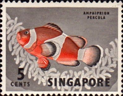 Singapore 1962 SG 66 Orange Clown Fish Fine Mint