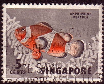 Singapore 1962 SG 66 Orange Clown Fish Fine Used