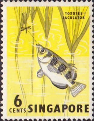Singapore 1962 SG 67 Archer Fish Fine Mint