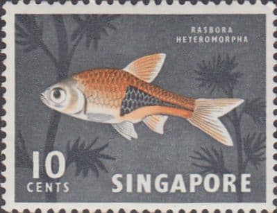 Singapore 1962 SG 69 Harlequin Fish Fine Mint
