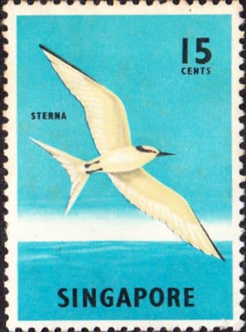 Singapore 1962 SG 70a Bird Black-naped Tern Fine Mint