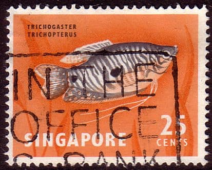 Singapore 1962 SG 72 Three-spotted Goramy Fish Fine Used