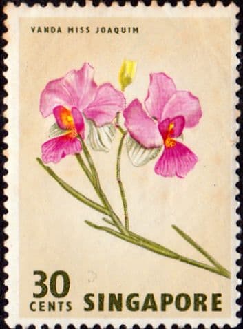 Singapore 1962 SG 73 Flower Orchid Fine Mint
