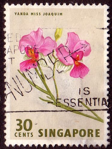Singapore 1962 SG 73 Flower Orchid Fine Used