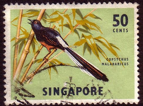 Singapore 1962 SG 74 White-rumped Shama Bird Fine Used