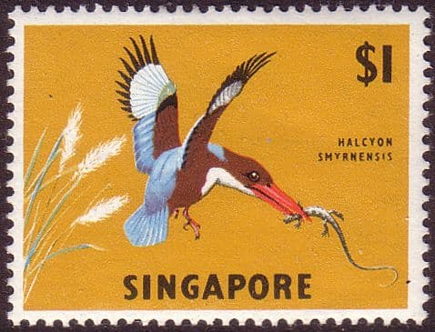 Singapore 1962 SG 75 Whitebreasted Kingfisher Bird Fine Mint
