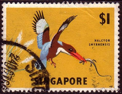 Singapore 1962 SG 75 Whitebreasted Kingfisher Bird Fine Used