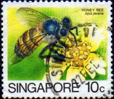 Singapore 1985 Insects SG 492 Fine Used