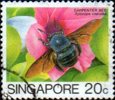 Singapore 1985 Insects SG 494 Fine Used