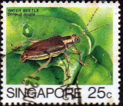 Singapore 1985 Insects SG 495 Fine Used