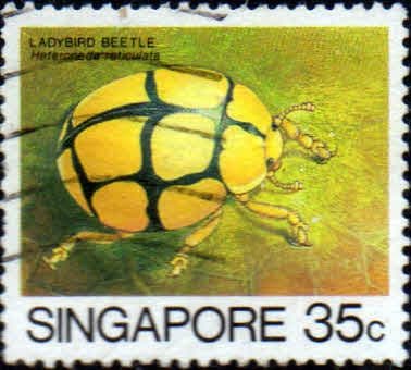 Singapore 1985 Insects SG 496 Fine Used