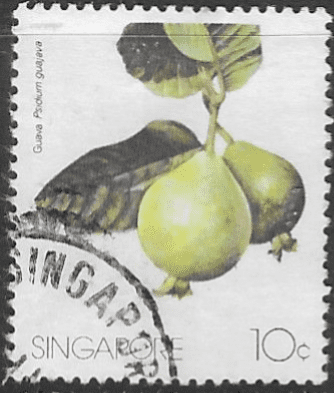 Singapore 1986 Fruits SG 519 Fine Used