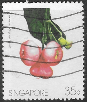 Singapore 1986 Fruits SG 520 Fine Used