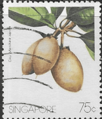 Singapore 1986 Fruits SG 522 Fine Used