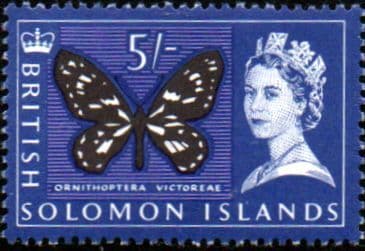 Solomon Island 1965 Butterfly SG 124 Fine Mint