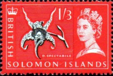 Solomon Island 1965 Orchid SG 121 Fine Mint