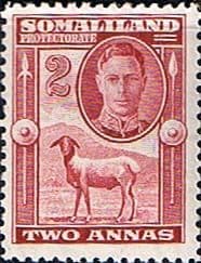 Somaliland Protectorate 1942 King George VI SG 107 Fine Mint
