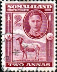 Somaliland Protectorate 1942 King George VI SG 107 Fine Used