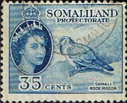 Somaliland Protectorate 1953 Queen Elizabeth SG142 Fine Used