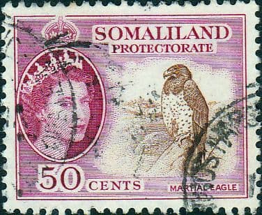 Somaliland Protectorate 1953 Queen Elizabeth SG143 Fine Used