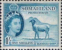 Somaliland Protectorate 1953 Queen Elizabeth SG144 Fine Mint