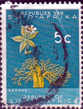 South Africa 1964 Republic Issue SG 244 Fine Used