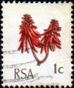 South Africa 1969 Kaffier Boom Flower SG 277 Fine Used