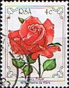 South Africa 1979 Flowers World Rose Convention SG 466 Fine Used