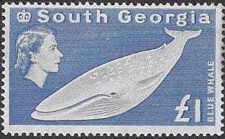 South Georgia 1963 Blue Whale SG 15 Fine Mint