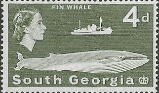 South Georgia 1963 Fin Whale SG 6 Fine Mint