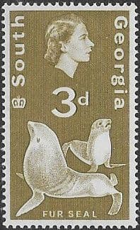 South Georgia 1963 South American Fur Seal SG 5 Fine Mint