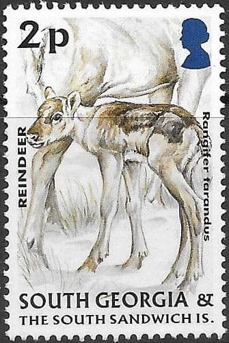 South Georgia 2004 Juvenile Fauna SG 391 Fine Mint