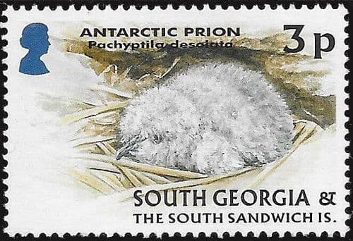 South Georgia 2004 Juvenile Fauna SG 392 Fine Mint