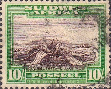 South West Africa 1931 Biplane over Windhock Afrikanns SG 84 Fine Used