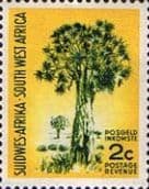 South West Africa 1961 First Decimal SG 174 Fine Mint