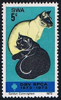 South West Africa 1972 SG 234 S P C A Cats Fine Mint