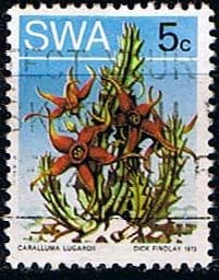South West Africa 1973 SG 245 Succulents Fine Used