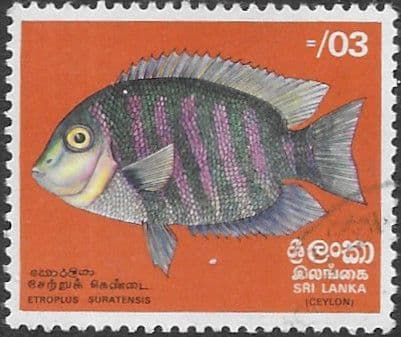 Sri Lanka 1972  Fishes SG 595 Fine Used