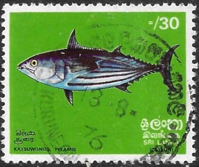 Sri Lanka 1972 Fishes SG 596 Fine Used