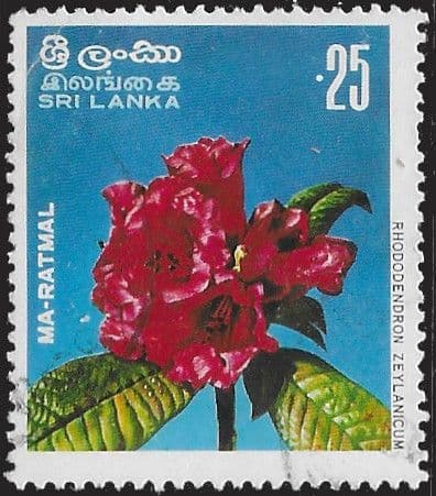 Sri Lanka 1976 Indigenous Flora SG 611 Fine Used