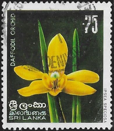 Sri Lanka 1976 Indigenous Flora SG 613 Fine Used