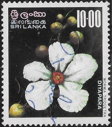 Sri Lanka 1976 Indigenous Flora SG 614 Fine Used