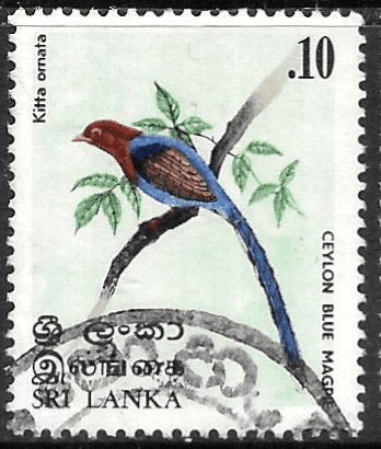 Sri Lanka 1979 Birds SG 684 Fine Used
