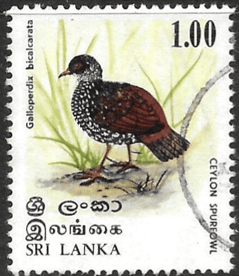 Sri Lanka 1979 Birds SG 687 Fine Used