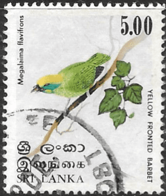 Sri Lanka 1979 Birds SG 688 Fine Used