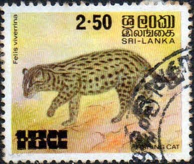 Sri Lanka 1981 Animals Surch. SG 718 Fine Used