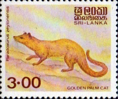 Sri Lanka 1982 Animals SG 781 Fine Mint