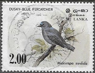 Sri Lanka 1983 Birds (2nd series) SG 829 Fine Used