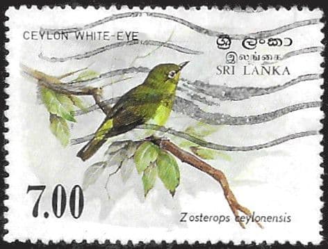 Sri Lanka 1983 Birds (2nd series) SG 829a Fine Used